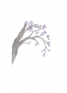 Concours de dessin 
