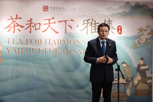 品茶看戏 在北非花园体验中式雅致生活——2024摩洛哥“茶和天下”·雅集