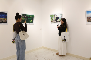 تشانغدو اكثر من مجرد باندا عملاقة