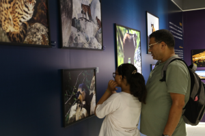 معرض التصوير الفوتوغرافي «الحياة البرية في الصين»