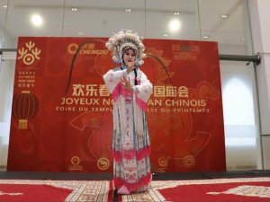 بازار رأس السنة الصينية 2026