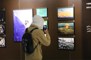 欢乐春节｜走进中心过元宵