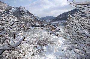 2022冰雪季·辽宁